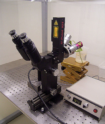 Lasermikroskop